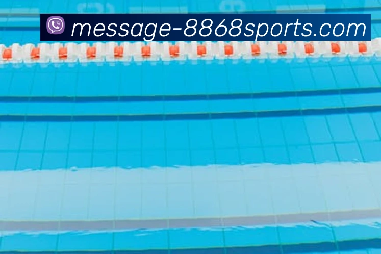 8868体育APP 封面图